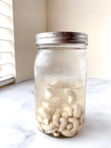 Cashew Milk